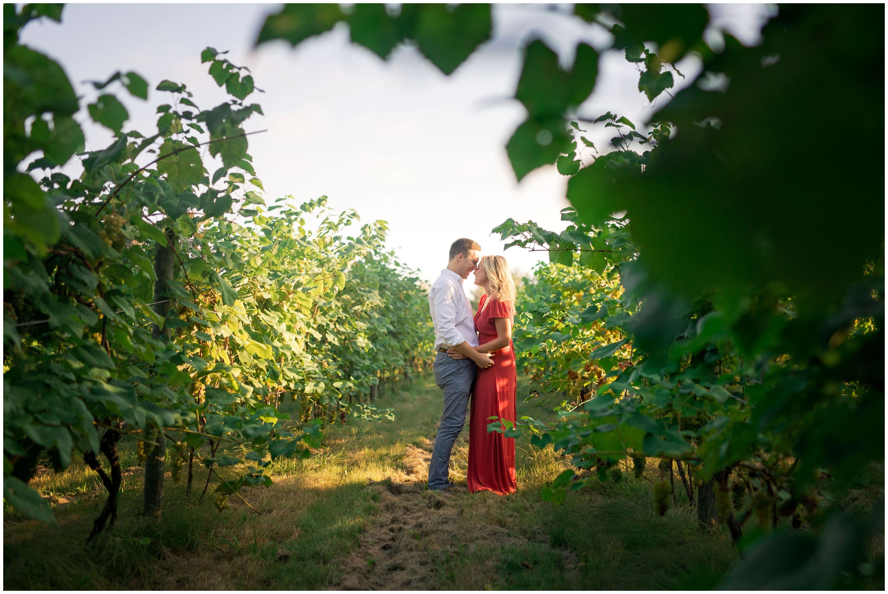 Sunset vineyard engagement session portsmouth RI-001.jpg