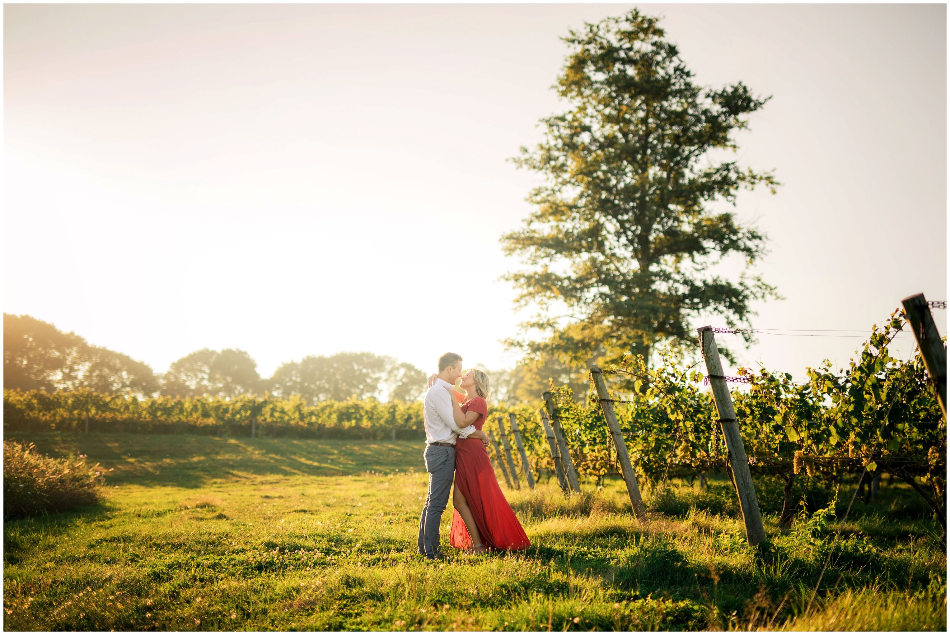 Sunset vineyard engagement session portsmouth RI-009.jpg