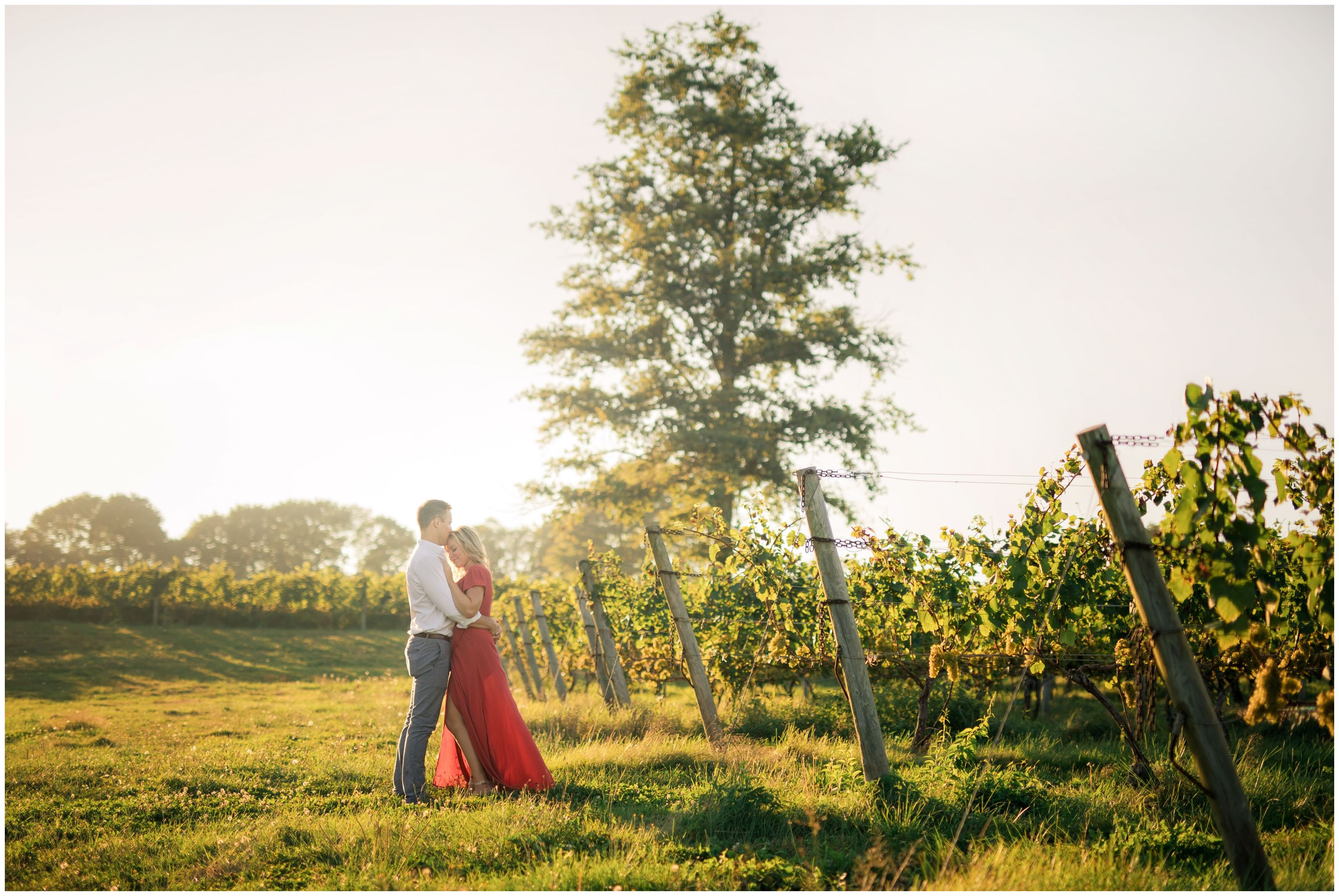 Sunset vineyard engagement session portsmouth RI-010.jpg