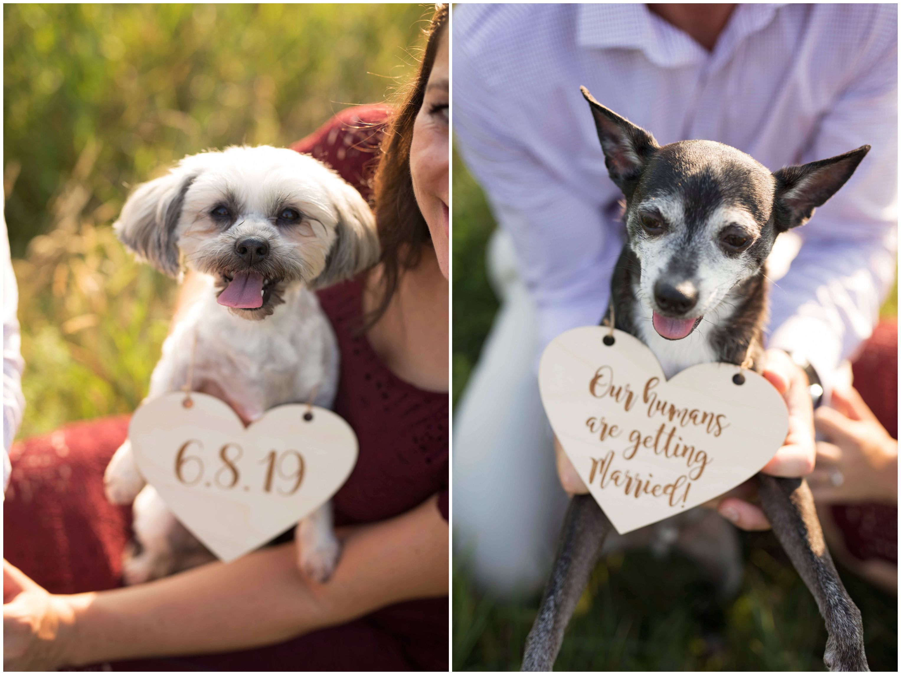 Vermont Countryside Engagement Session-004.jpg