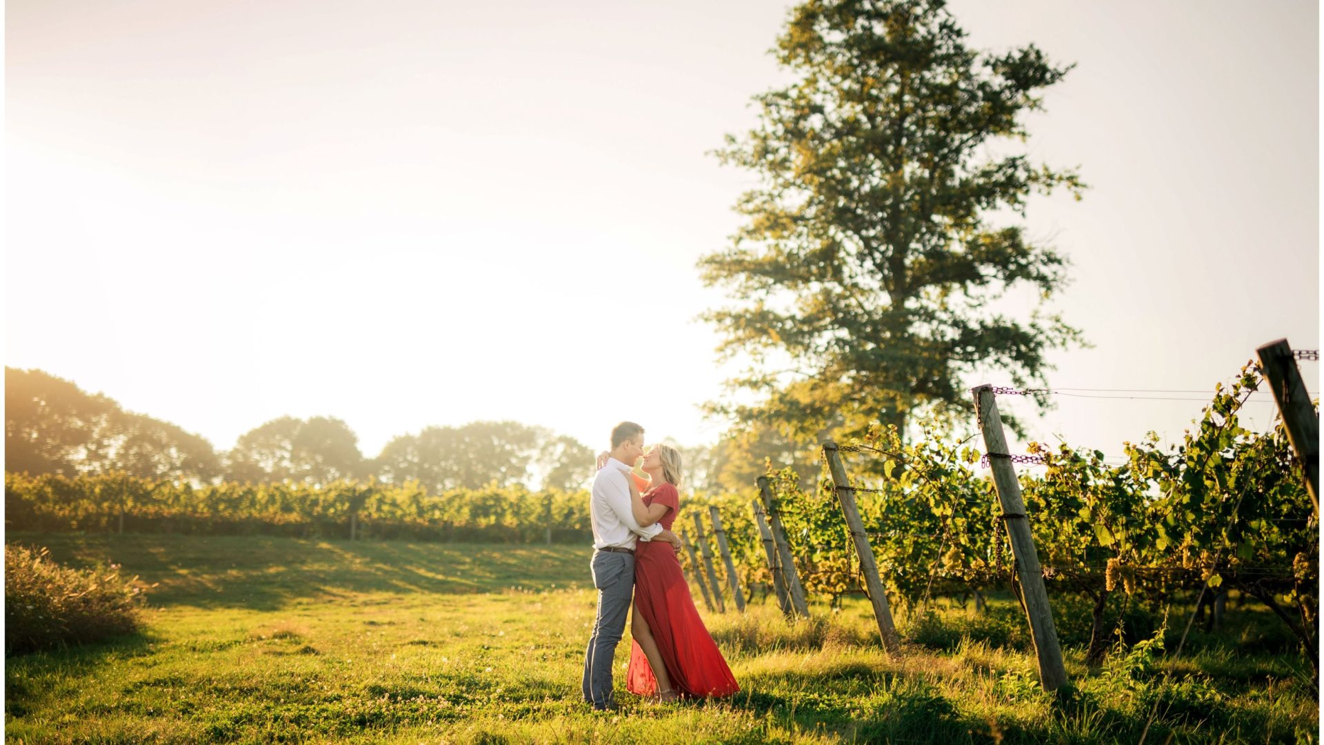 Sunset vineyard engagement session at greendale vineyards in portsmouth rhode island